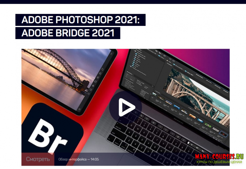 Андрей Журавлев - Adobe Photoshop 2021: Adobe Bridge (2021)