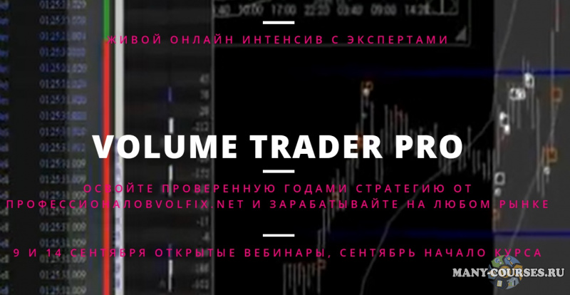 Елена Сон, Геннадий Бурмистров - Volume Trader Pro (2021)