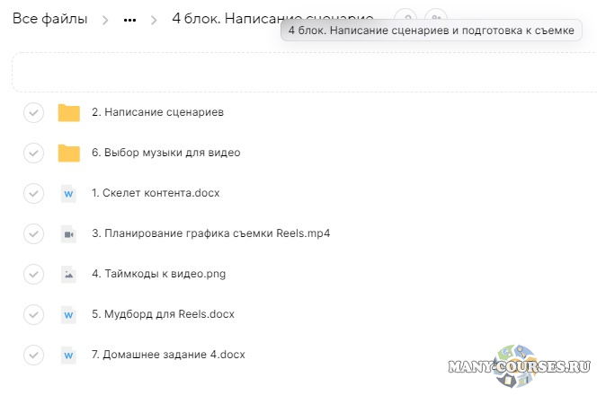 Александра Панкратова - Reels bootcamp 2.0. Тариф - Все про Reels + разборы (2021)