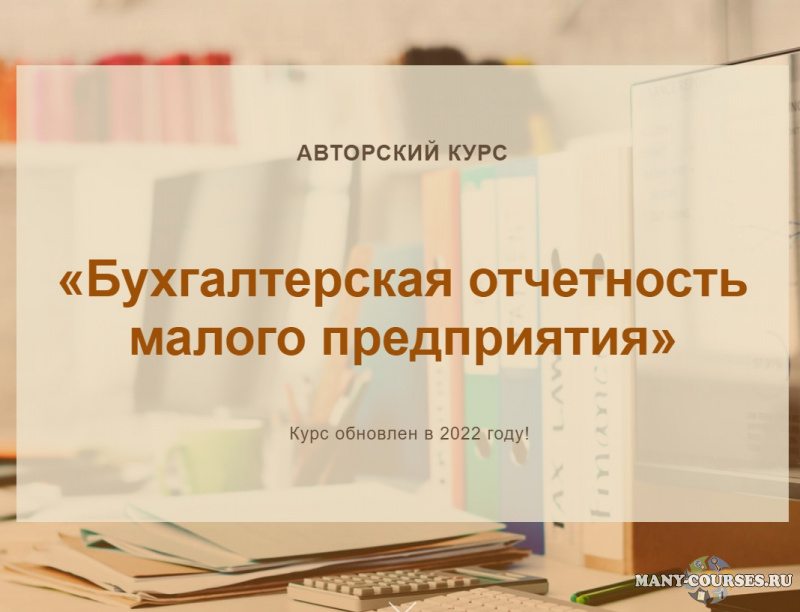 Ольга Шулова, Валентина Власенко - Бухгалтерская отчетность малого предприятия