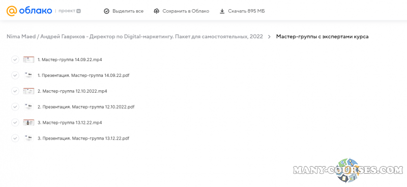 Nima Maed / Андрей Гавриков - Директор по Digital-маркетингу. Пакет для самостоятельных, 2022