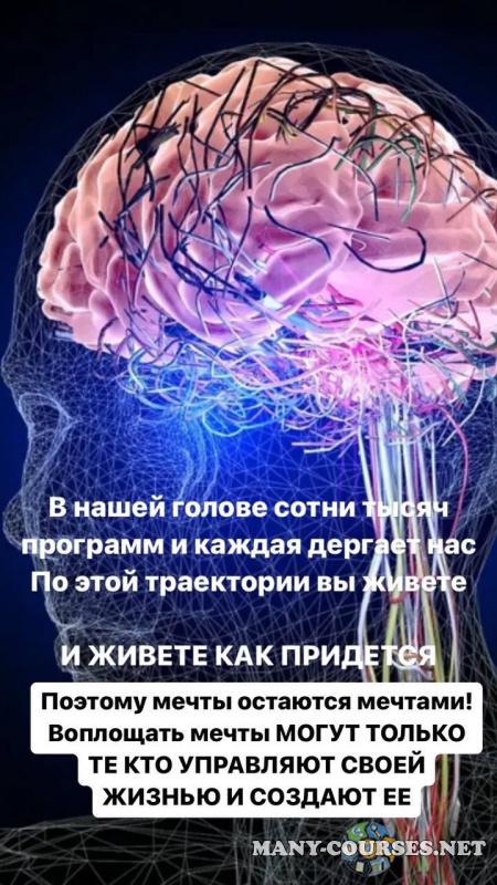 Светлана Миронюк - Формирование нейронных связей (2023)