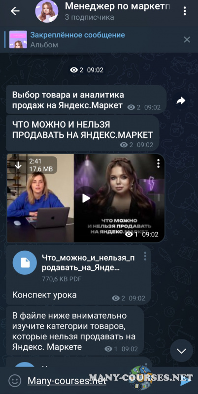 Софи Азарова - Менеджер маркетплейсов. Тариф Премиум (2023)