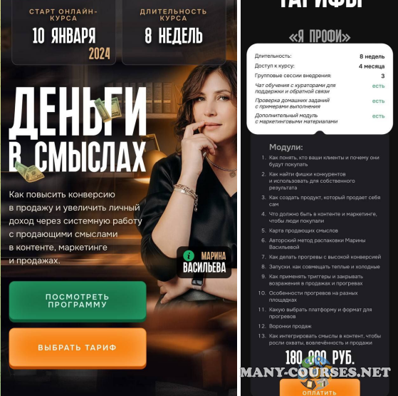 Марина Васильева - Деньги в смыслах. Тариф Я профи (2024)