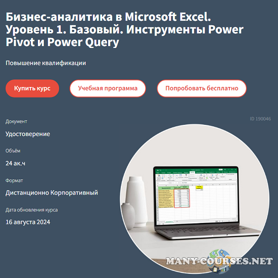 Алексей Козлов - Бизнес-аналитика в Microsoft Excel. Уровень 1. Базовый. Инструменты Power Pivot и Power Query (2024) [РУНО]